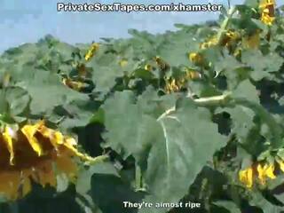 Man kurang ajar his cantik amatir lassie among sunflowers